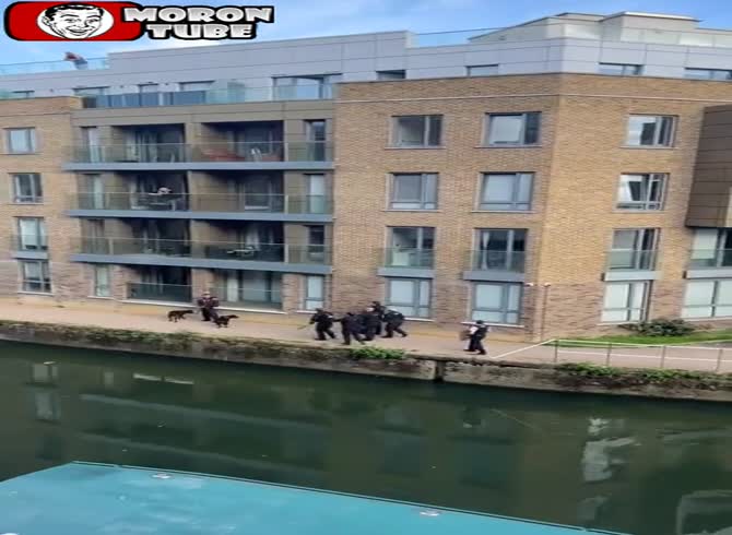 Video :Shock in London - the cops use a Taser on their master and shoot two dogs